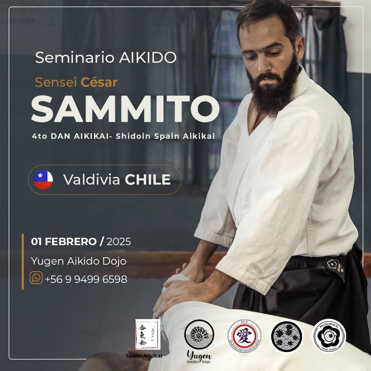 Seminario de Sensei César Sammito en Valdivia, Chile — 1 de febrero de 2025