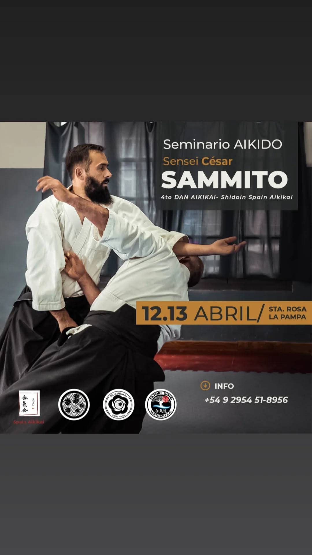 Seminario de Sensei César Sammito en Santa Rosa, La Pampa — 12 y 13 de abril